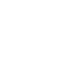 Engine Adjuster - Could use more flames.