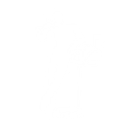 Eh, What's Up Doc? - You wascally wabbit.