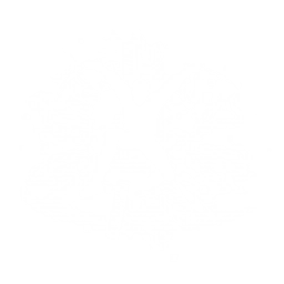 Order's Flourish - Are you sure you want to challenge this?